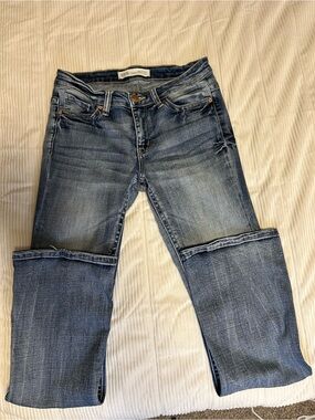 BKE Jeans Womens 31 Blue Payton Boot Cut Western Cowgirl Stretch Boho